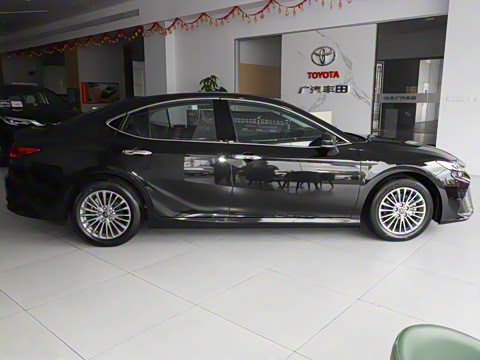 2024�� ˫�� 2.0HGVP ������