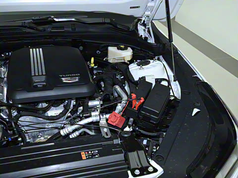 2023�� 28T ������