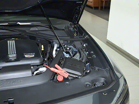 2023�� 28T �����