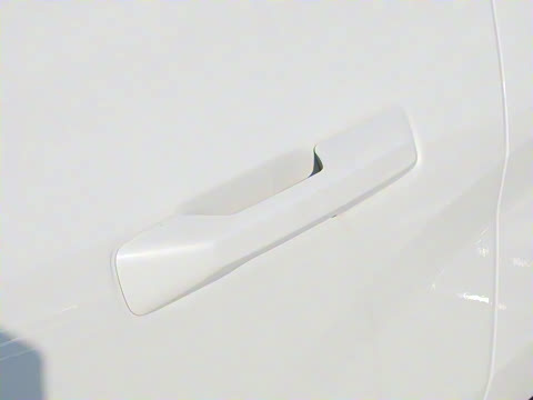 2025�� ������������ Plus