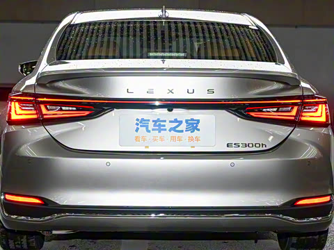 2025�� 300h ������