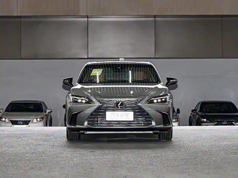 2025�� 300h ������