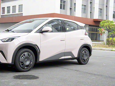 2025�� 305km ������