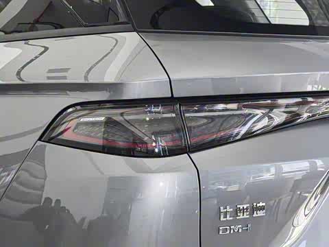 2025�� DM-i 115KM������