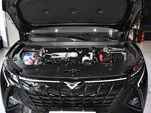 2024�� 1.6T ��ԭ�� 5��