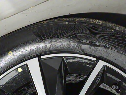 2025�� ����� 125 �캽��