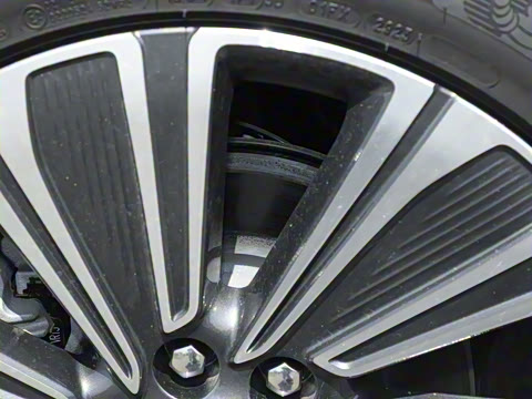 2023�� ������������