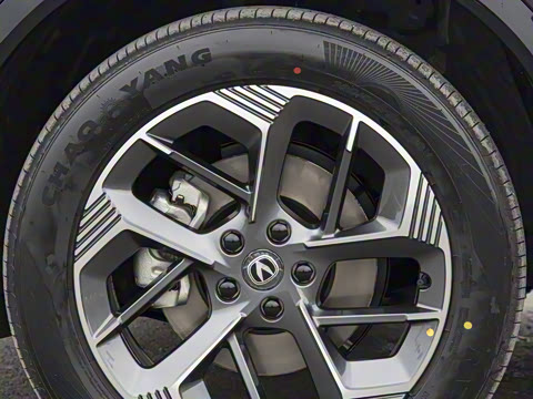 2025�� ���Ĵ� 1.5T ������ �ǻ��콢��