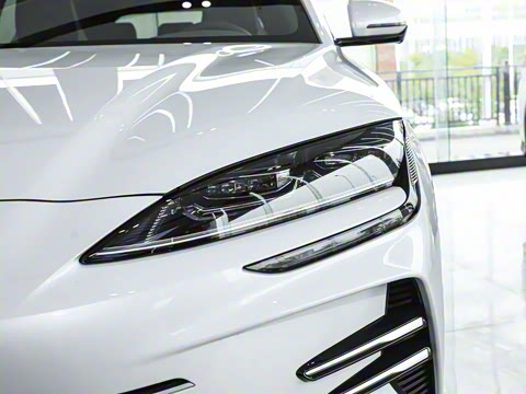 2025�� DM-i 75KM ������