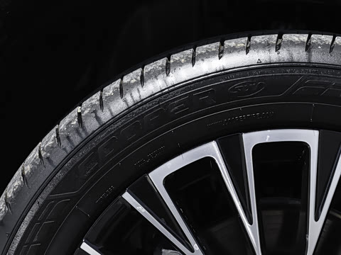 2025�� 300T ������ҫ��