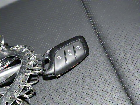 2022�� 1.5T Trophy�˶�������