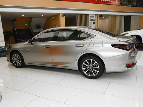 2025�� 300h ������