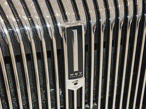 2025�� ������ɽ9