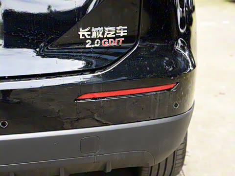 2024�� 2.0T ����Max