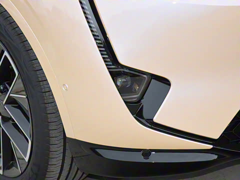 2025�� Max �����