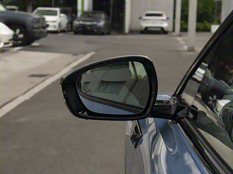 2025�� 730 Max������