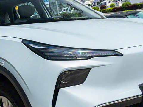 2025�� 445km ���ð�