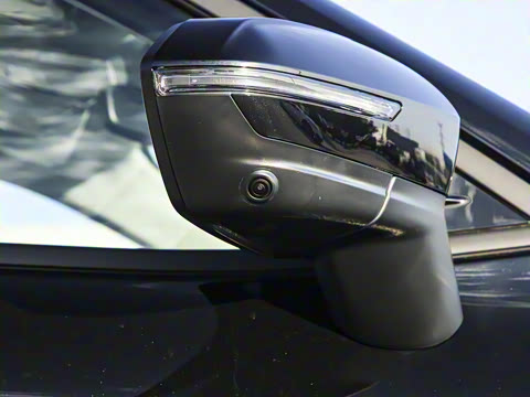 2025�� ������