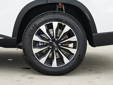 2025�� 290TGDI DCT�˷�� 