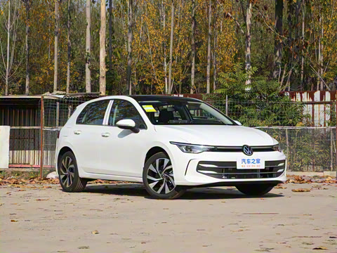 2025�� 300TSI Pro