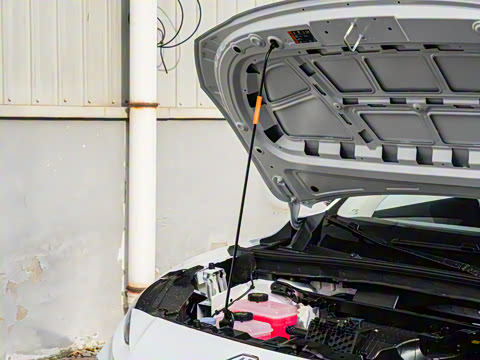 2025�� 425pro ������