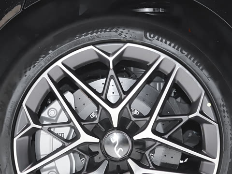 2025�� EV ����������