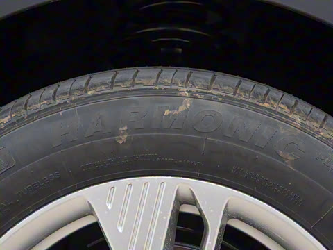 2025�� 445km ��ѡ��