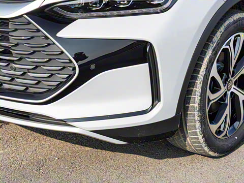 2025�� DM-i 115KM �����