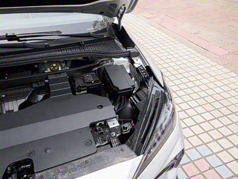 2023�� 415km �����ھ�������