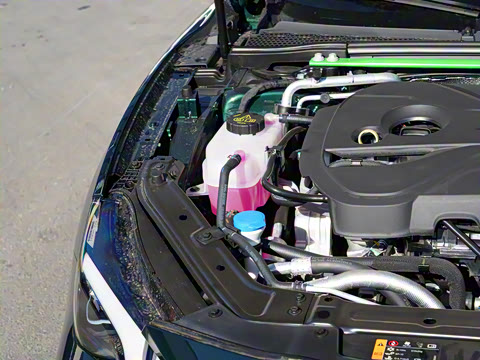 2025�� 2.0T Trophy+ �����˶���