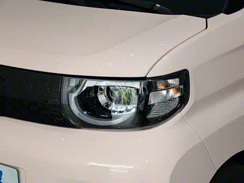 2025�� 205km ʥ����