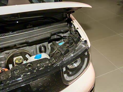 2025�� 205km ʥ����