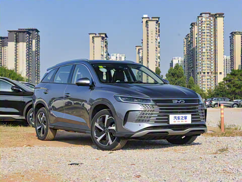 2025�� DM-i 115KM�콢��
