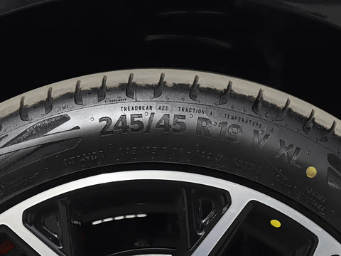 2025�� ���� 565����Max�캽��