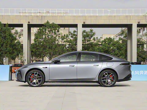 2025�� ���� 565����Max�캽��