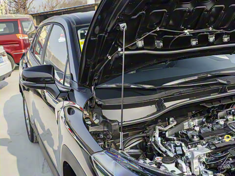 2024�� 2.0L CVT��Ӣplus��