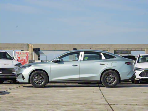 2024�� DM-i 80KM������