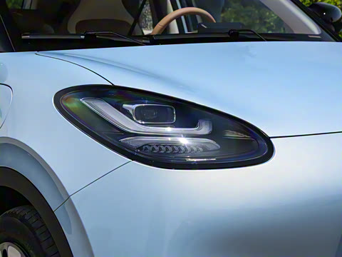 2025�� 333km ������