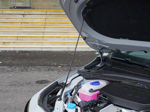 2024�� 127 Զ���� ������