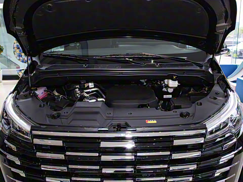 2025�� MAX 2.0T �Զ������� ���� 7��