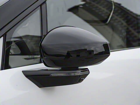 2025�� ������������