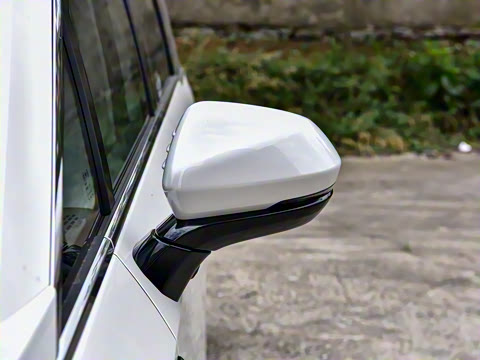 2025�� 527km ɭ�ֳ�������