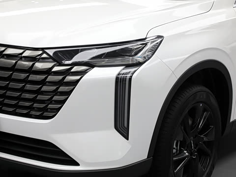 2024�� 2.0T ����Max