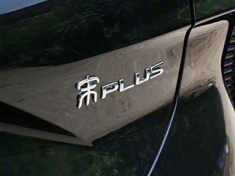 2025�� DM-i 112KM ������