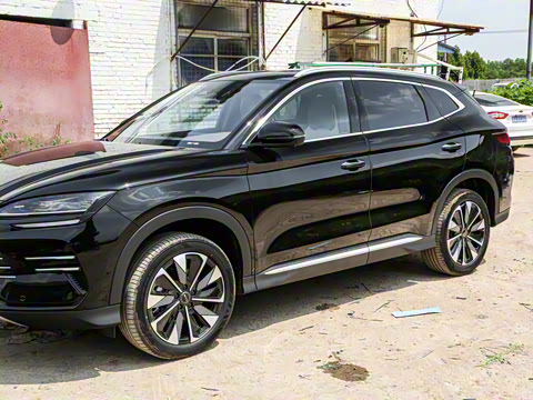 2025�� DM-i 112KM ������