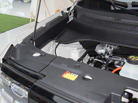 2026�� 501km�����