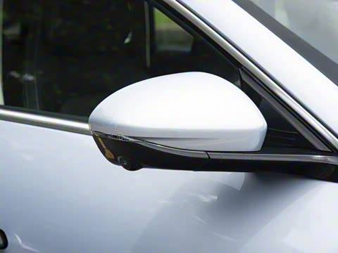 2024�� 555������