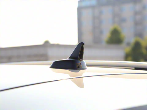 2025�� 300TSI DSG���������