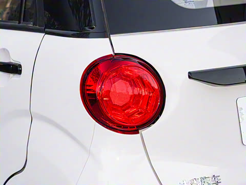 2025�� 205km ��Ȱ�