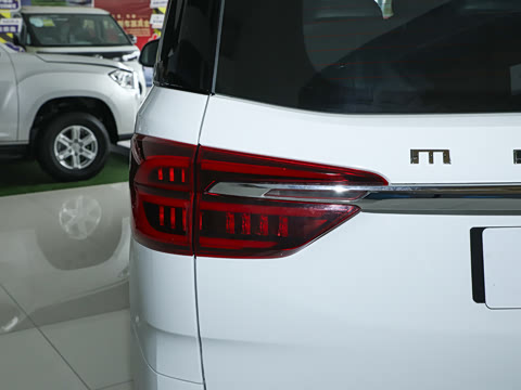 2025�� MAX 2.0T �Զ������� ���� 7��